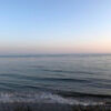 t_manker